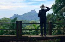 Tijuca Forest: Hiking, waterfalls, cave, and wildlife