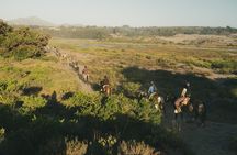 Ritoque Horseback Ride: Forest, Dunes & Beach with Chilean BBQ
