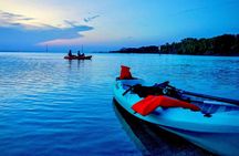 Dolphin, Manatee and Sunset Kayak and SUP Tour & Bioluminescence
