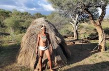 01 Day Bushman Walk Experience From Windhoek