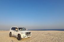 Doha: Desert Safari (Private Tour) with Pick Up & Drop Off