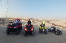 Doha: Desert Safari (Private Tour) with Pick Up & Drop Off