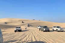 Doha: Desert Safari (Private Tour) with Pick Up & Drop Off