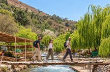Marrakech: Atlas Mountains, Waterfalls, Hike & Lunch –Small Group