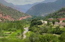 Marrakech: Atlas Mountains, Waterfalls, Hike & Lunch –Small Group