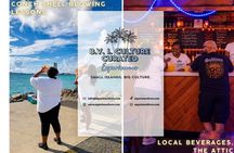 BVI Unlocked: Blow the Conch! | Taste | Dance | Virtual Reality..