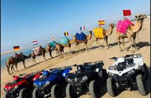 > Ride Drive Enjoy Camel & Quad Tours Asilah&Tanger& Morocco