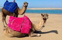 > Ride Drive Enjoy Camel & Quad Tours Asilah&Tanger& Morocco