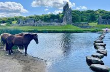 Private Day Tour South Wales Cliffs, Beaches & Castles