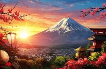 From Tokyo: Customized Mount Fuji Private Day Trip