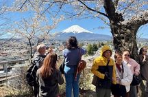 From Tokyo: Customized Mount Fuji Private Day Trip