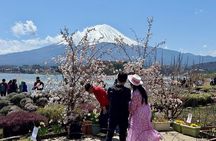 From Tokyo: Customized Mount Fuji Private Day Trip