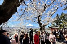 From Tokyo: Customized Mount Fuji Private Day Trip