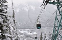 Banff Highlights and Wildlife Small Group Tour with Gondola