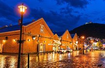 Hakodate/Hokkaido Private Tour with Local Guide