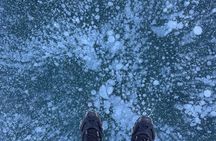 Icefields Parkway and Ice Bubbles of Abraham Lake Tour