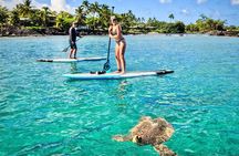 Stand Up Paddle Boarding Tour in Turtle Town, Maui