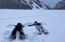 Lake Louise & Johnston Canyon Winter Day Tour from Banff