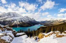 Banff & Lake Louise 3-Day Winter Tour with Peyto Lake, Icefields