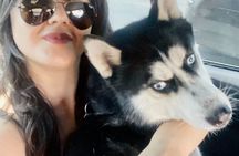 Yerevan: Wine, Husky Cuddles & the City Glowing at Your Feet