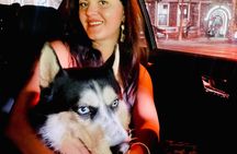 Yerevan: Wine, Husky Cuddles & the City Glowing at Your Feet