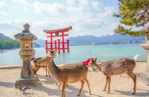 Hiroshima and Miyajima Day Trip from Tokyo by Shinkansen