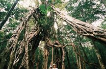 Nam Cat Tien National Park : Crocodile Lagoon & Night Trekking