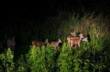 Nam Cat Tien National Park : Crocodile Lagoon & Night Trekking