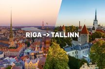 Riga-Tallinn Sightseeing Tour Bus