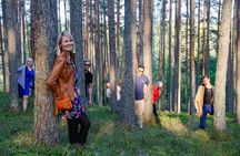Riga-Tallinn Sightseeing Tour Bus