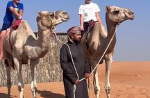 Wahiba Sands Sunset Safari: 4x4 Dune Bashing & Omani Hospitality