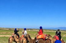 Marrakech to Merzouga: 3-Day Sahara Desert Tour with Camel Ride