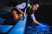 Bioluminescence Snorkeling and Boat Experience at Bocas del Toro