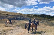 Cotopaxi Horseback Ride: El Pedregal Valley Day Tour from Quito