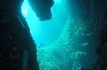 2-Hour Night Diving Session in Dubrovnik