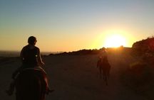 Horseback Ride Under the Hollywood Sign in Los Angeles for Two