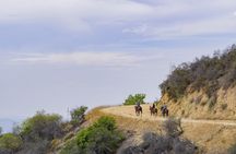 Horseback Ride Under the Hollywood Sign in Los Angeles for Two