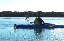 Dolphin Kayaking Adventure Tour in Australia