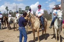 Horseback Riding outside of Houston