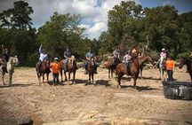 Horseback Riding outside of Houston