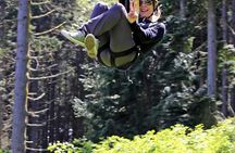 Camano Island Zipline Experience