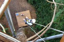 Camano Island Zipline Experience