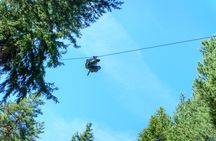 Camano Island Zipline Experience