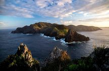Land on the Hole in the Rock in New Zealand