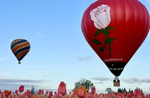 Hot Air Balloon Ride in Oregon