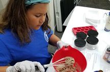 Body Scrub Making Class