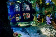 2 Day LEGOLAND® California and SEA LIFE® aquarium Hopper tickets