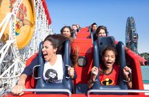 Disneyland® Resort 1 Park per day tickets