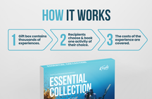 Essential Collection