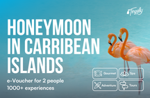 Honeymoon in the Caribbean